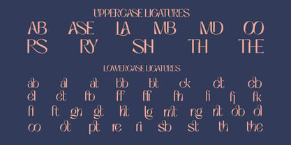 Niasec Lux Font Poster 8