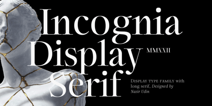 Incognia Font Poster 1