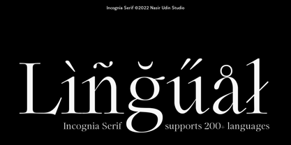Incognia Font Poster 13