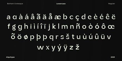 Botham Grotesque Font Poster 12
