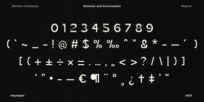 Botham Grotesque Font Poster 11