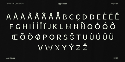 Botham Grotesque Font Poster 10
