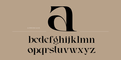 Faghe Modern Font Poster 5