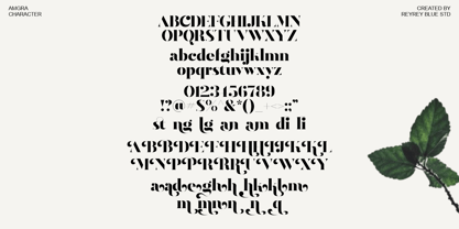 Amgra Font Poster 14