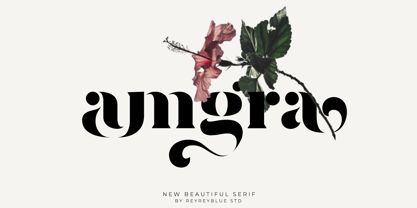 Amgra Font Poster 1