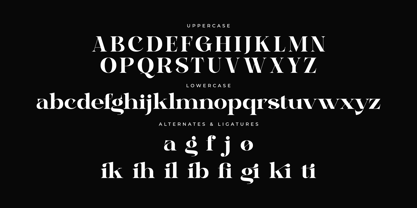 Bagife Font Poster 7