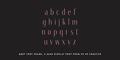 Very Frank Font Poster 6