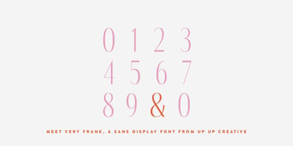 Very Frank Font Poster 12