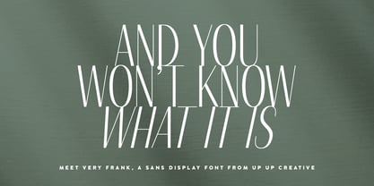 Very Frank Font Poster 4