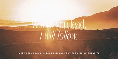 Very Frank Font Poster 10