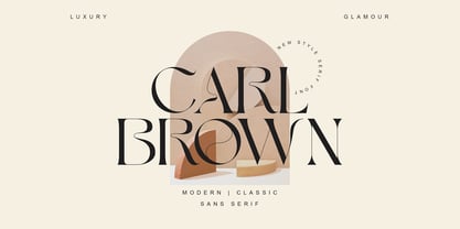 Carl Brown Font Poster 1