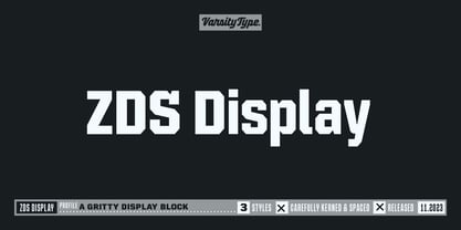 ZDS Display Police Poster 1