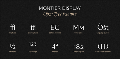 Montier Variable Font Poster 12