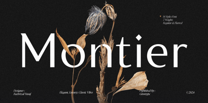 Montier Variable Font Poster 1