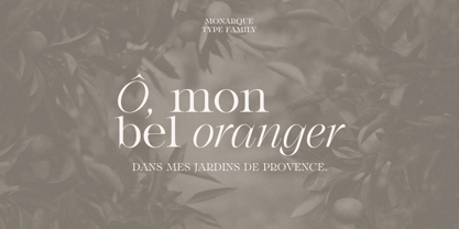 Monarque Font Poster 5