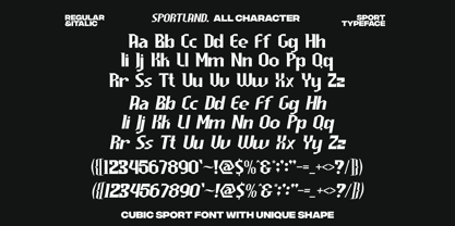 Sportland Font Poster 9