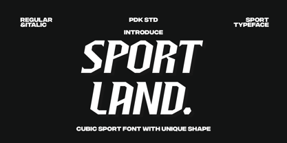 Sportland Font Poster 1