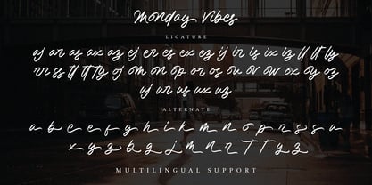 Monday Vibes Font Poster 10