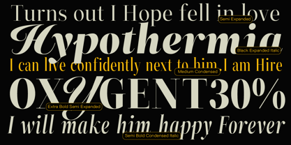 ZT Neue Ralewe Font Poster 3