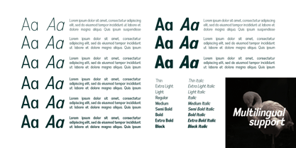 Pro Sotan Variable Font Poster 5