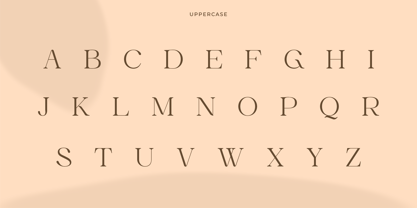 Miagara Font Poster 11