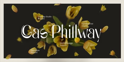 Cas Phillway Font Poster 1