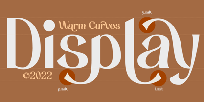 Warm Curves Font Poster 7