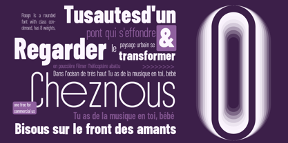 ZT Floogn Font Poster 4