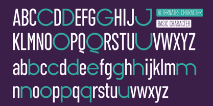 ZT Floogn Font Poster 8