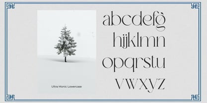 Ultra Monic Modern Serif Font Poster 9