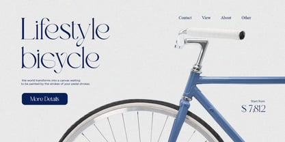 Ultra Monic Modern Serif Fuente Póster 3