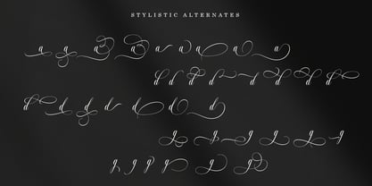 Brunetta Calligraphy Font Poster 9