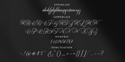 Brunetta Calligraphy Font Poster 10