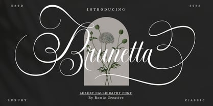 Brunetta Calligraphy Font Poster 1