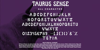 Taurus Sense Font Poster 7
