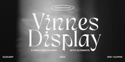 Vinnes Display Font Poster 1