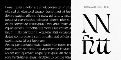 Vinnes Display Font Poster 4