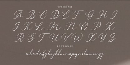 Sheirlyn Cauplen Font Poster 10