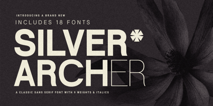 Silver Archer Font Poster 1