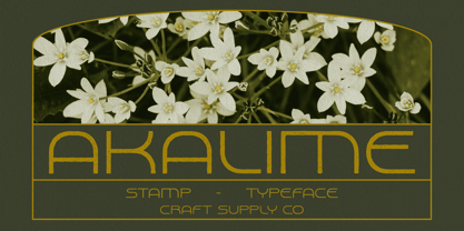 Akalime Stamp Font Poster 1