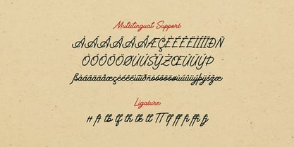 Koewiso Monoscript Font Poster 12