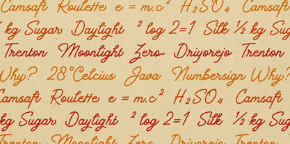Koewiso Monoscript Font Poster 9