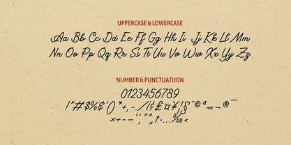 Koewiso Monoscript Font Poster 10