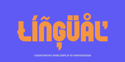 Enaoko Font Poster 8