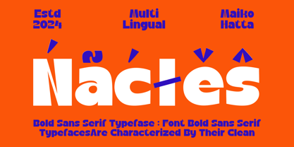 Nacles Font Poster 6