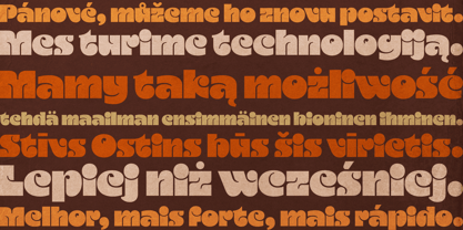 Bostin Font Poster 13