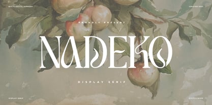 Nadeko Font Poster 1