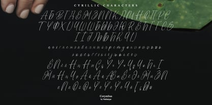 Corymbus Font Poster 9