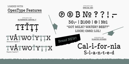 Antypica Font Poster 7