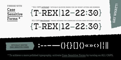 Antypica Font Poster 10